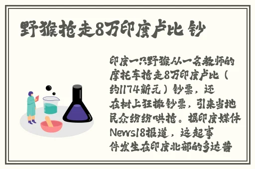 中日韩无砖码一线二线